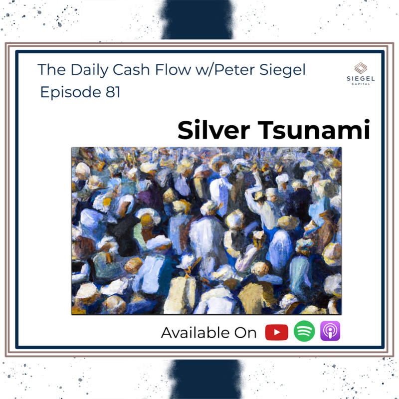#81 Silver Tsunami 🌊 – Siegel Capital Presents, The Daily Cash Flow w/Peter Siegel